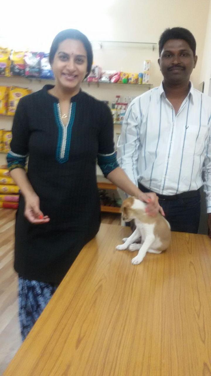 Vetcare Pet Clinic | Pet Care Clinic in Manikonda, Hyderabad